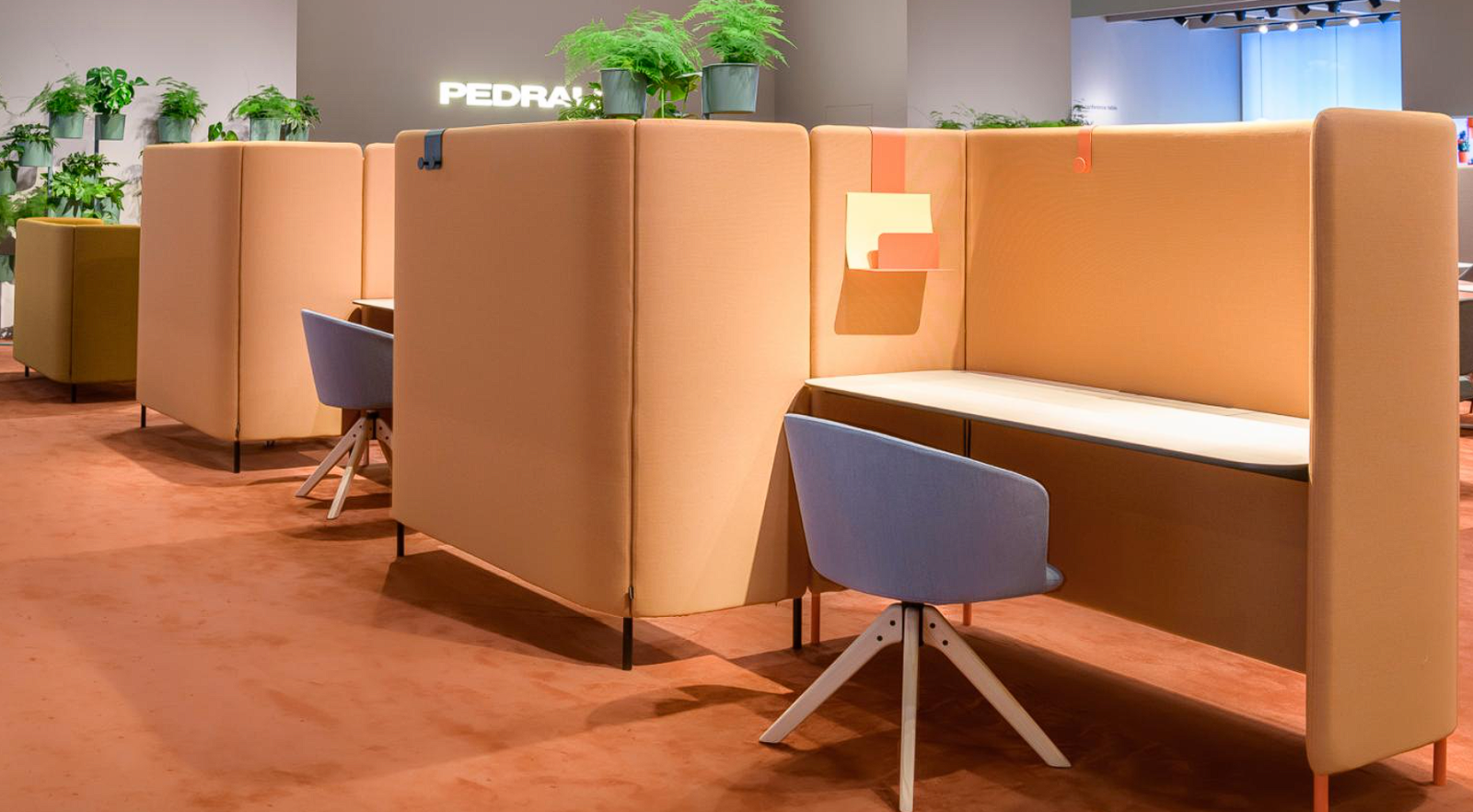 Zdjęcie przedstawia meble marki Pedrali.